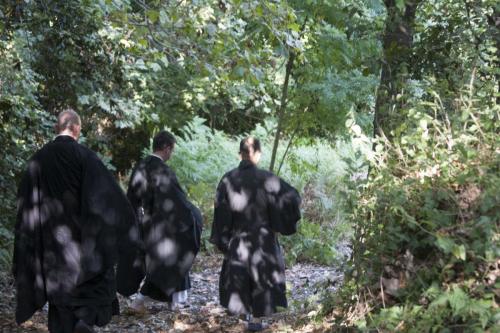 caminata por el bosque