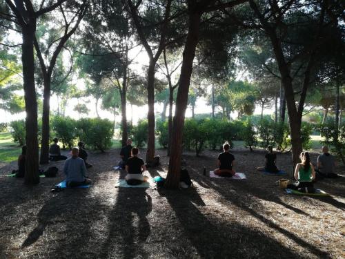 Zazen al aire libre