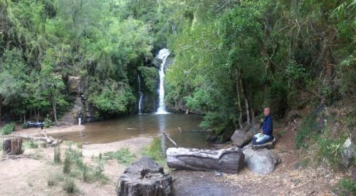 zazen y naturaleza: Araucanía, Chile 