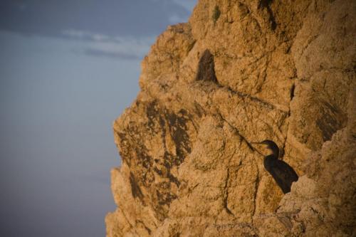 jpg zen y playa 2014_128