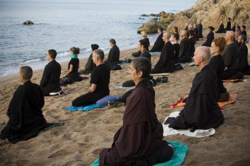 jpg zen y playa 2014_33