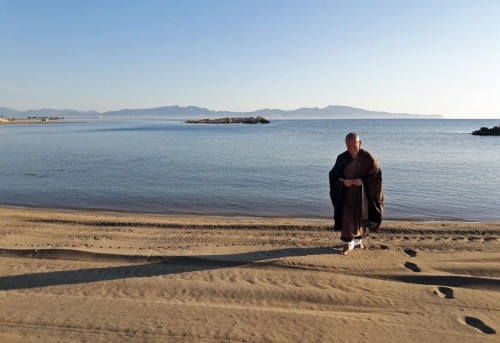 2016 Zen Playa Soko 14