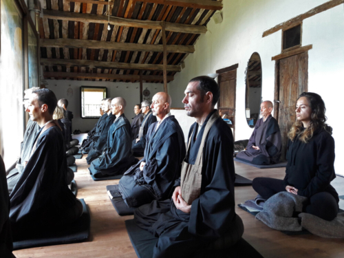 Zen y Bosque 2022 zazen inetrior 1