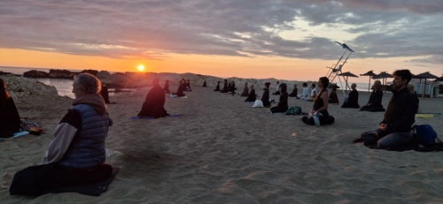 zazen mar 2