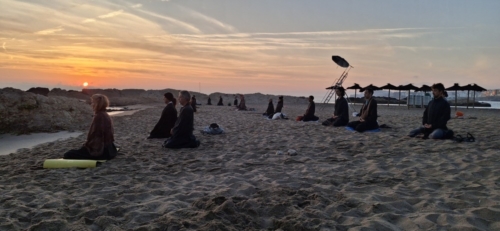 zazen mar 1
