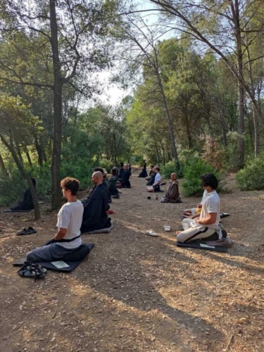 zazen bosque 1